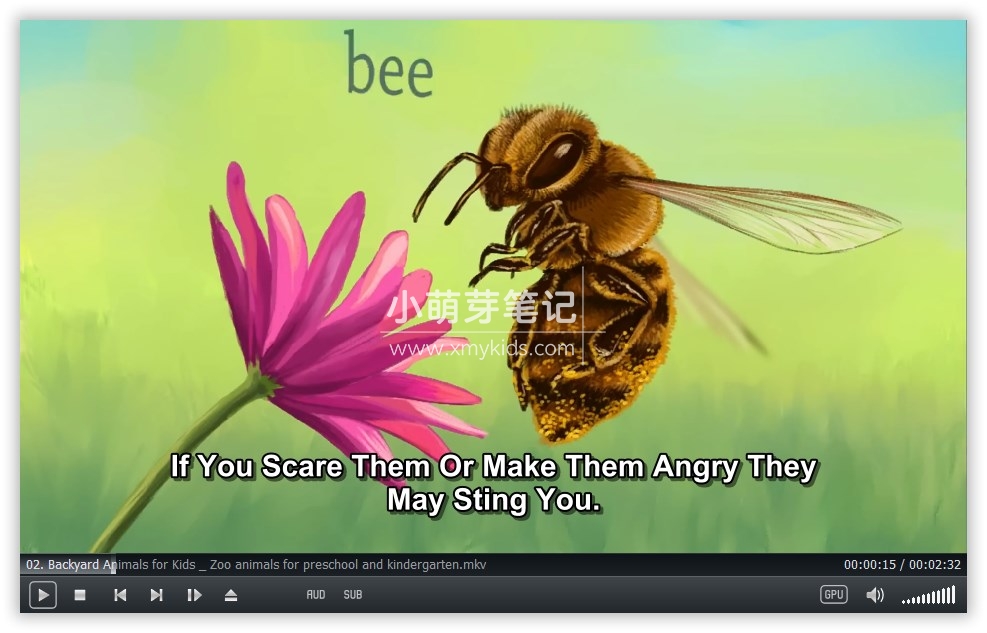 Socratica Kids 图片3