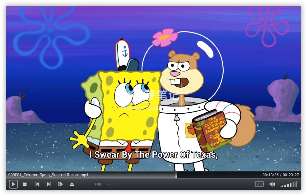 SpongeBob SquarePants 海绵宝宝 图片11