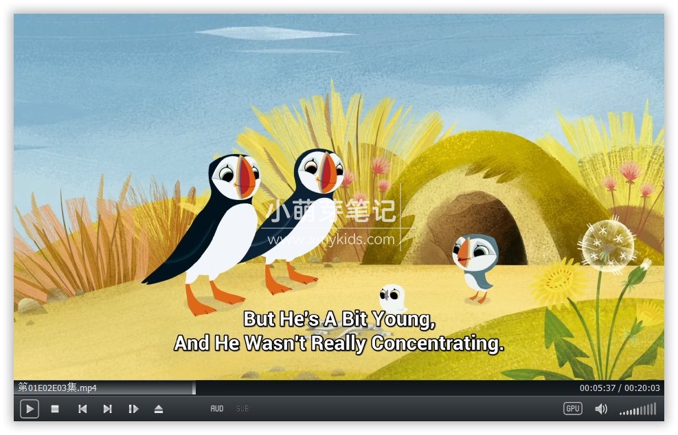 Puffin Rock 欢乐海鹦岛 图片3