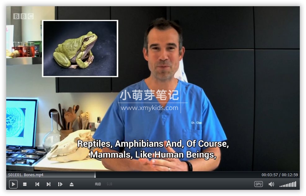 Operation Ouch! Do Try This at Home 图片8 Operation Ouch! Do Try This at Home 图片7