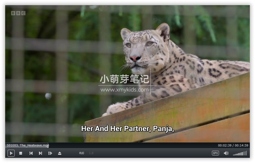 One Zoo Three 三兄弟动物园 图片10 One Zoo Three 三兄弟动物园 图片9