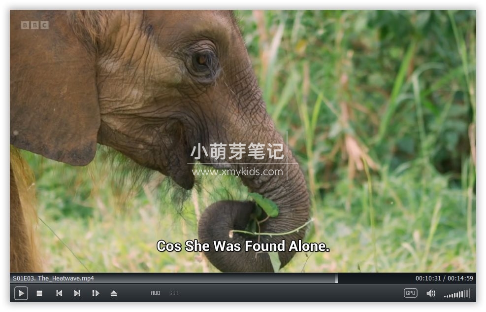 One Zoo Three 三兄弟动物园 图片12 One Zoo Three 三兄弟动物园 图片11