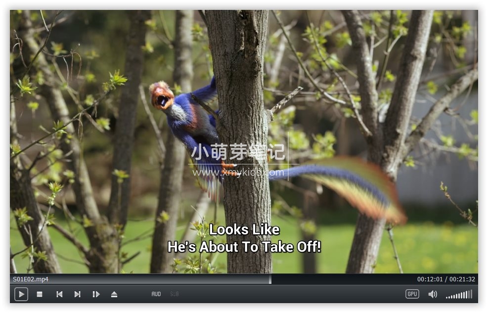 Dino Dana 恐龙达娜 图片6 Dino Dana 恐龙达娜 图片5