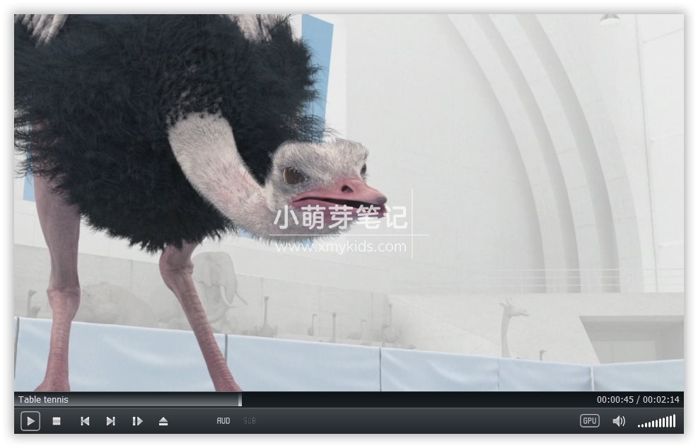 Athleticus 运动趣事 图片5