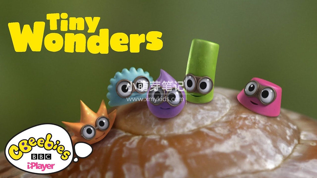Tiny Wonders 图片2 Tiny Wonders 图片1