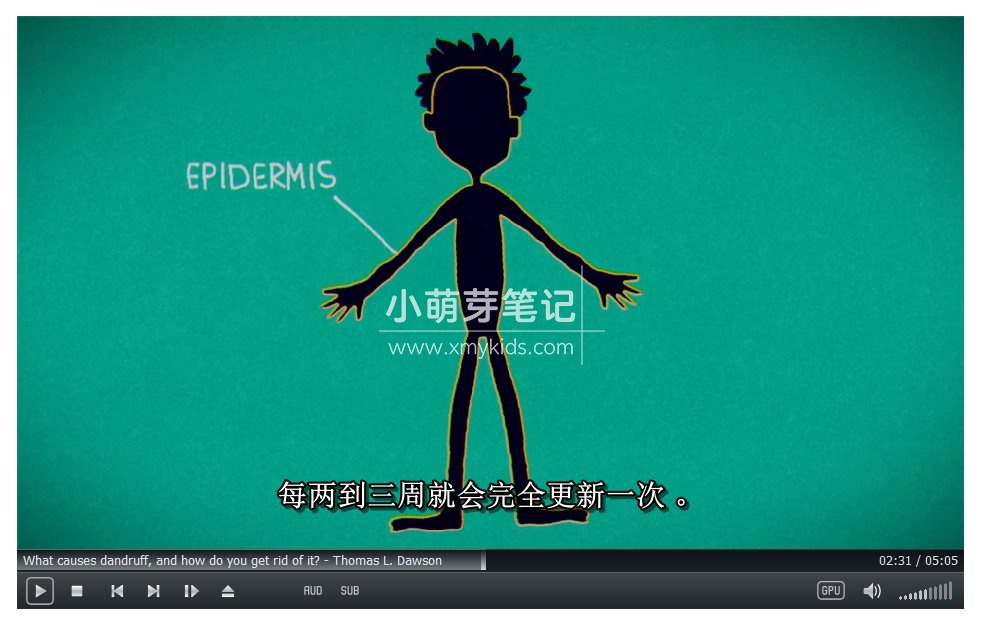 TED-Ed 图片9