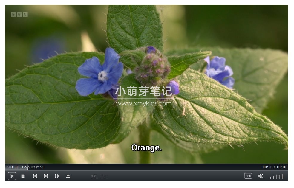 I Can Grow It 图片3