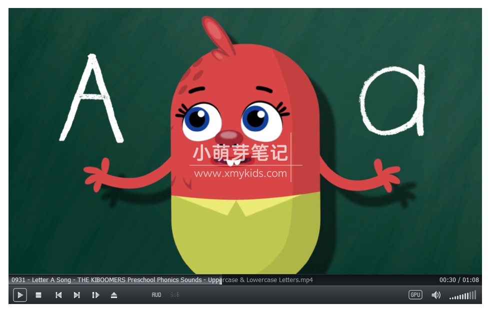 The Kiboomers 图片11