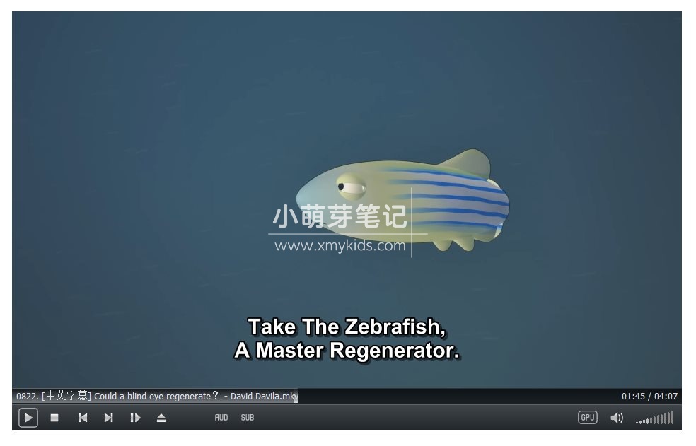 TED-Ed 图片9