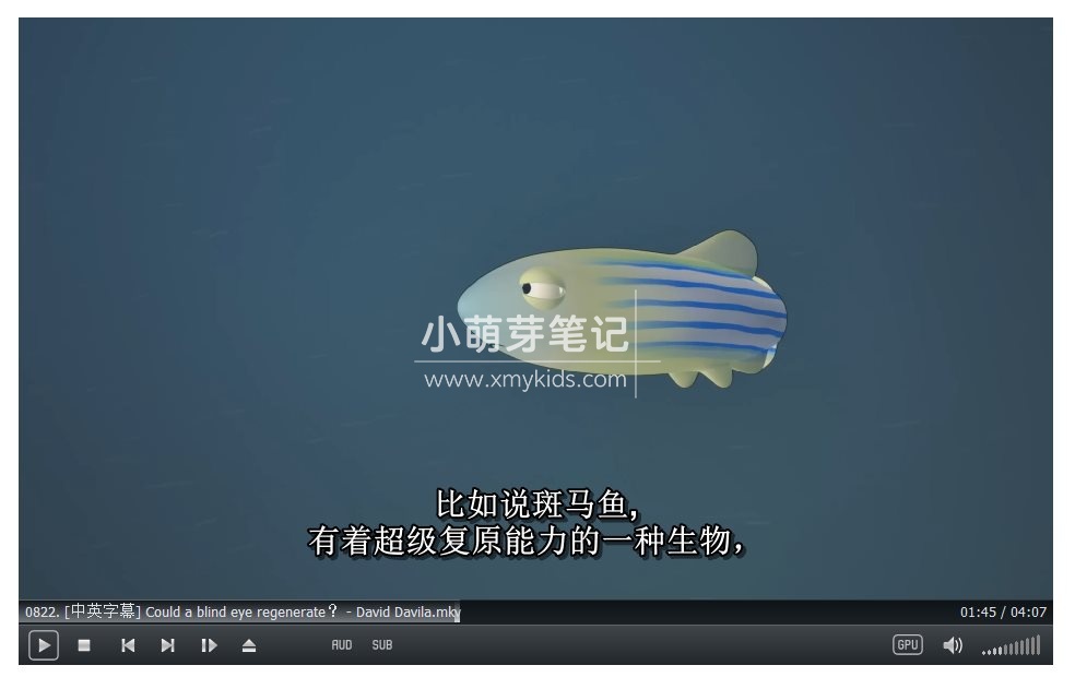 TED-Ed 图片7