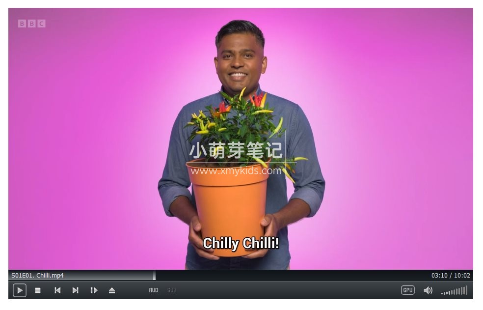 Whats in Your Plant Pot 图片5