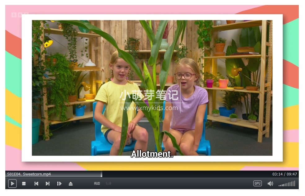 Whats in Your Plant Pot 图片13