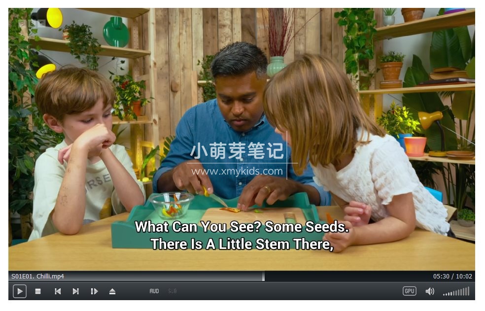 Whats in Your Plant Pot 图片7