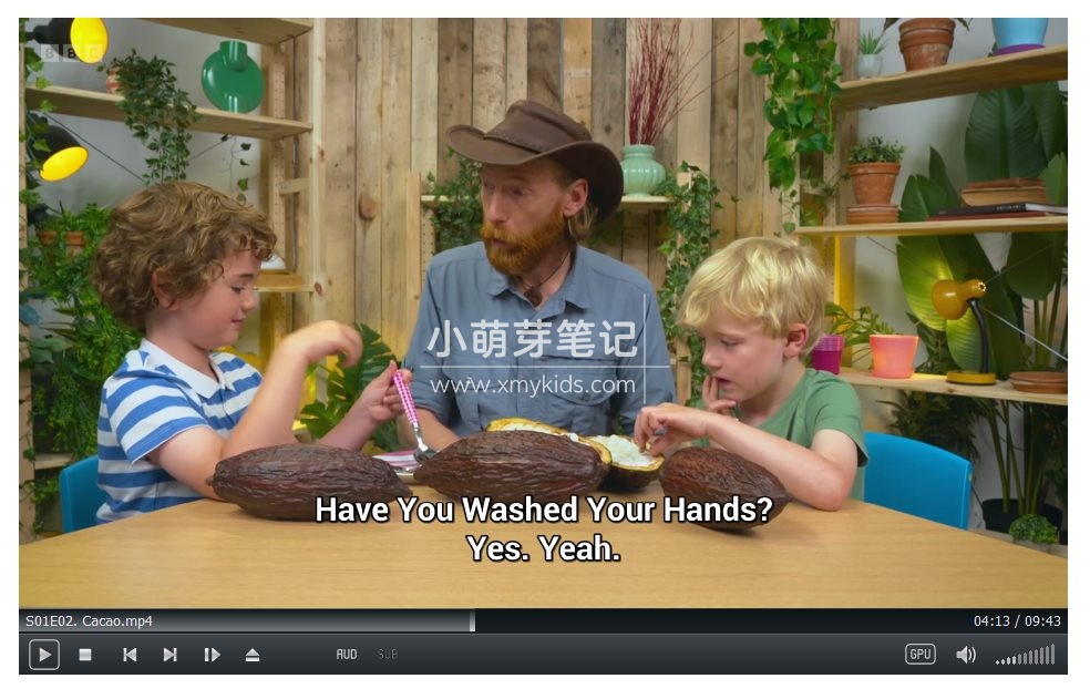 Whats in Your Plant Pot 图片11
