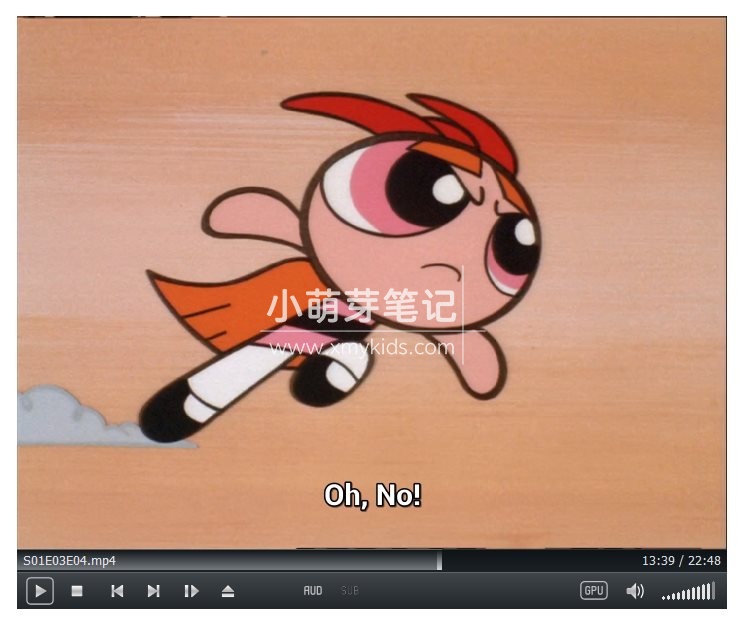 The Powerpuff Girls 飞天小女警 图片11